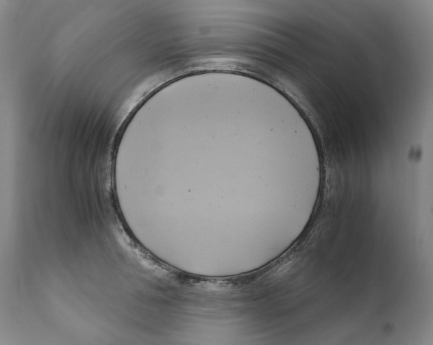 X0000110730994200907101424