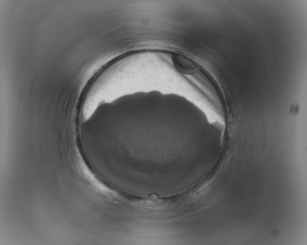 X0000110730995200907101424