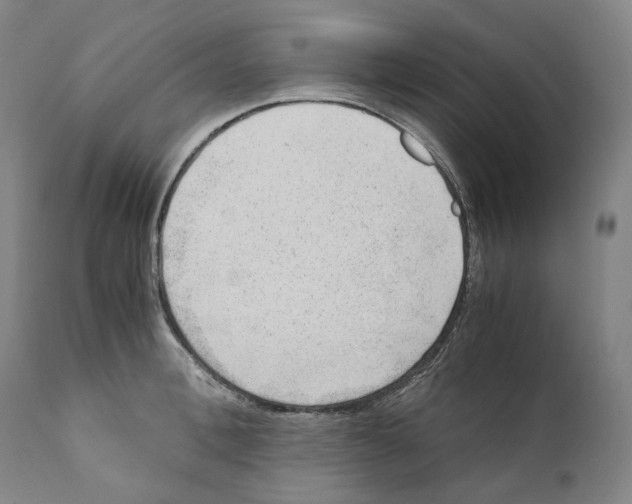 X0000110730996200907101424