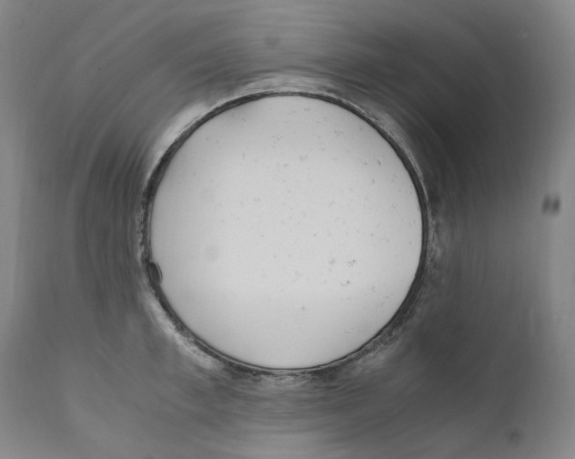 X0000110730997200907101424
