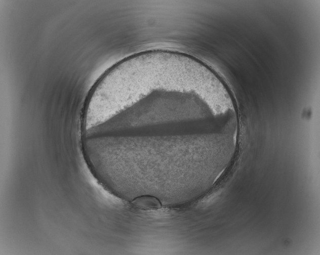X0000110730999200907101424