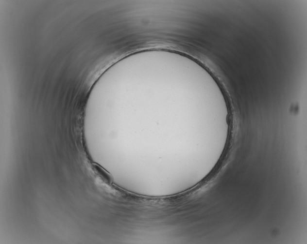 X0000110731001200907101424