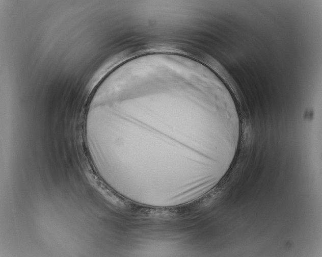 X0000110731002200907101424