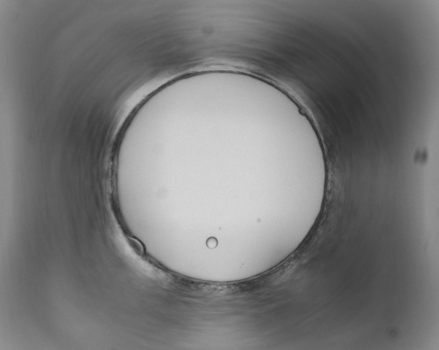 X0000110731003200907101424