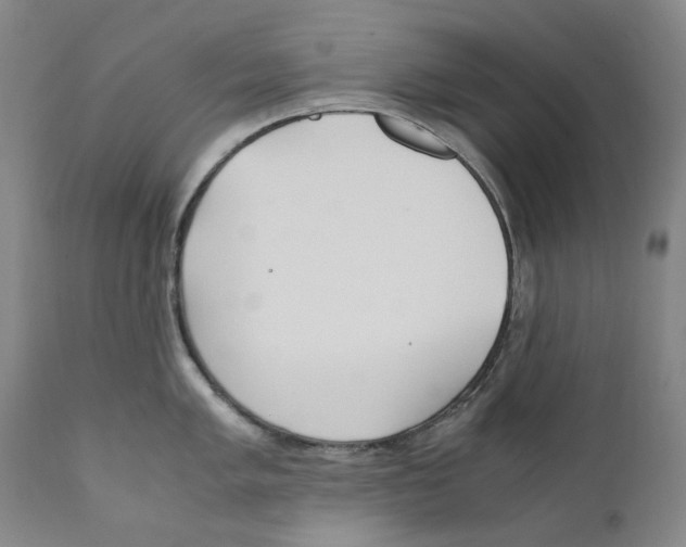 X0000110731005200907101424