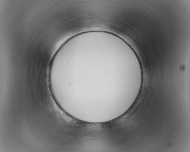 X0000110731006200907101424