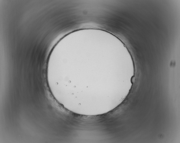 X0000110731008200907101424