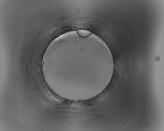 X0000110731009200907101423