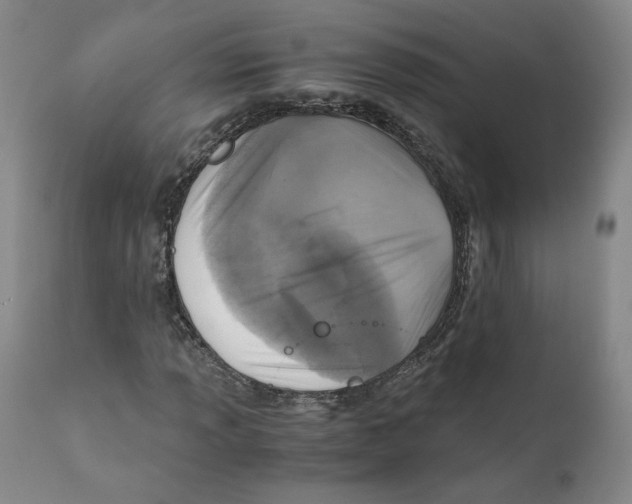 X0000110731013200907101423
