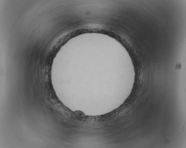 X0000110731016200907101423