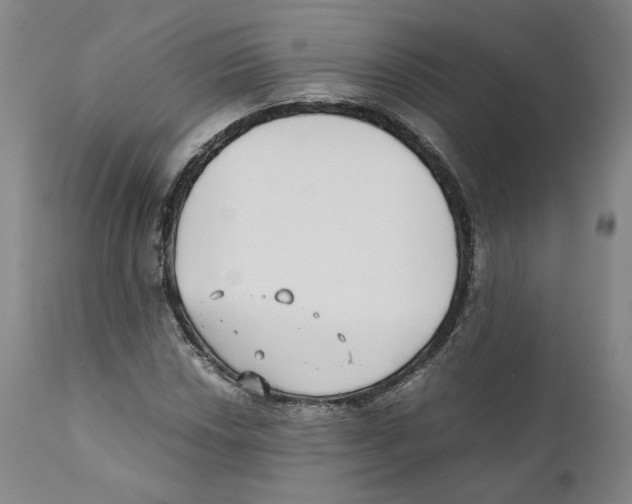 X0000110731018200907101423