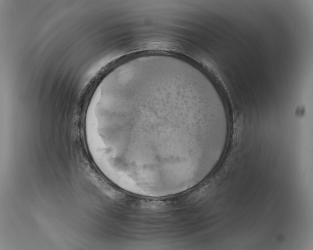 X0000110731019200907101423