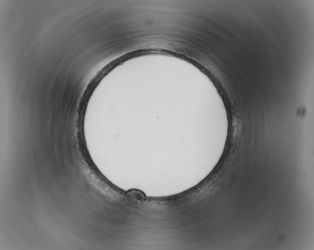 X0000110731020200907101423