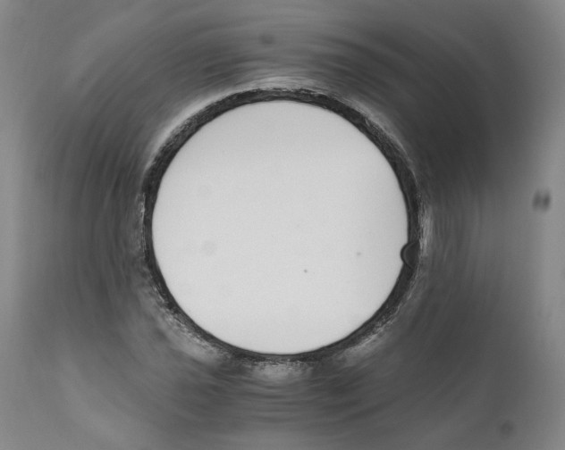 X0000110731021200907101423