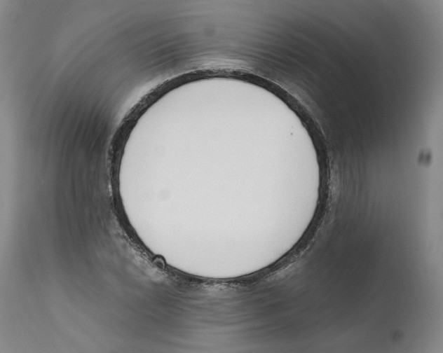 X0000110731022200907101423