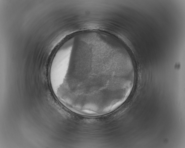 X0000110731023200907101423