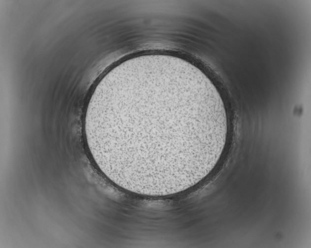X0000110731025200907101423