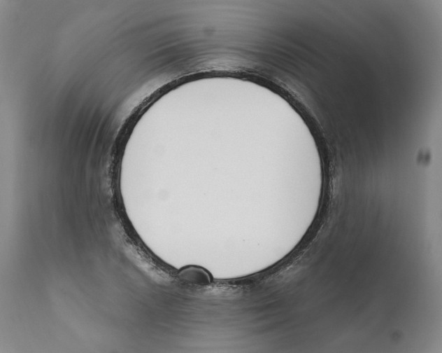 X0000110731026200907101423
