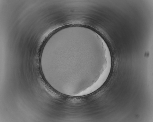 X0000110731027200907101424