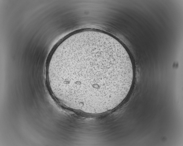 X0000110731028200907101424