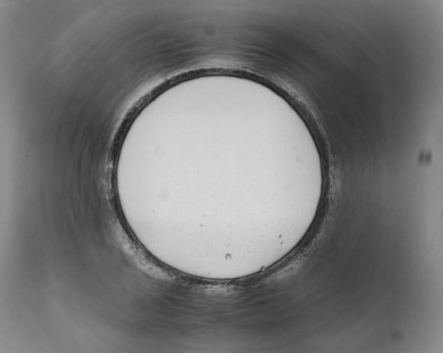X0000110731029200907101424