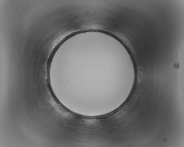 X0000110731031200907101424