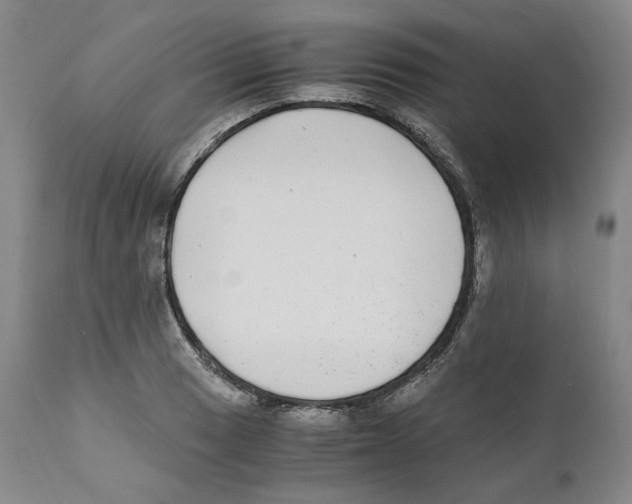 X0000110731033200907101424