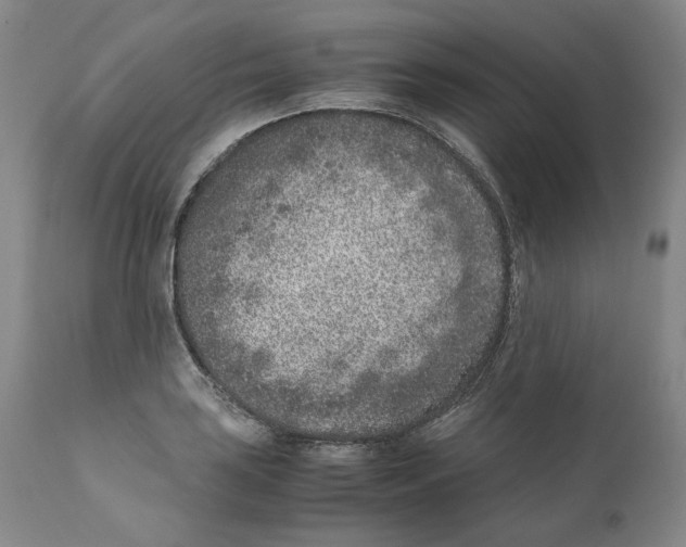 X0000110731035200907101424