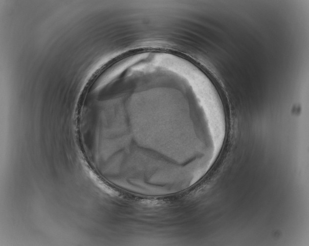 X0000110731037200907101424