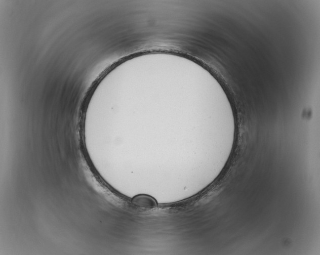 X0000110731038200907101424