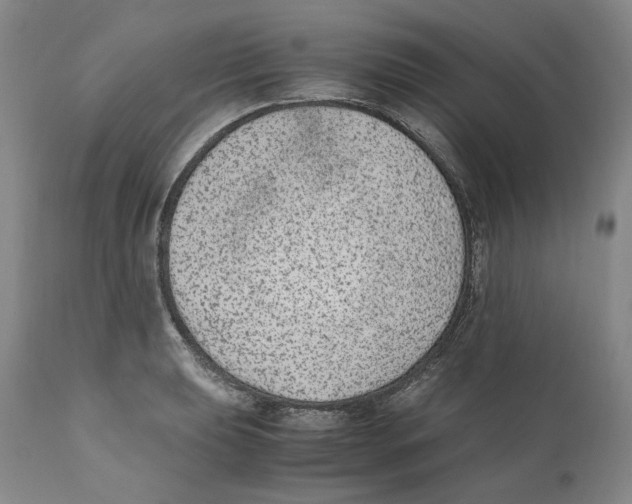 X0000110731039200907101424