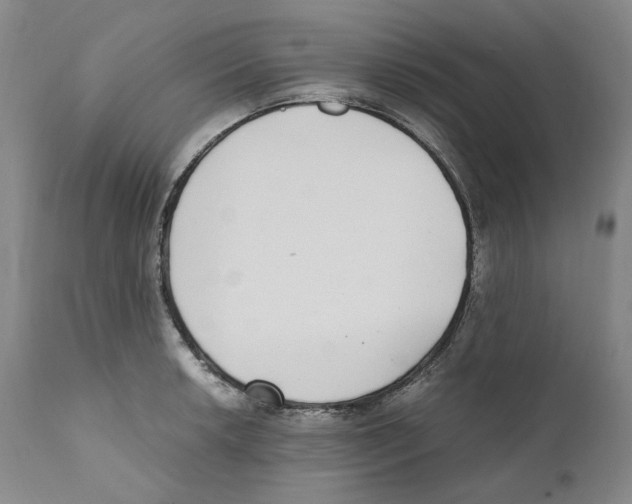 X0000110731042200907101424