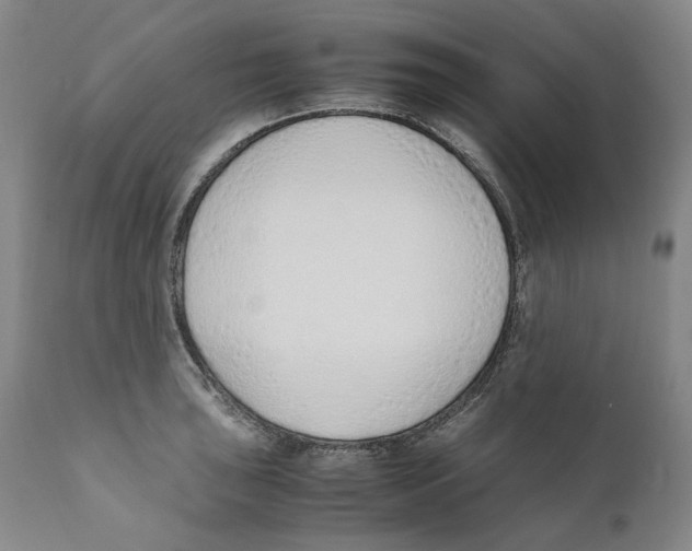 X0000110731043200907101424