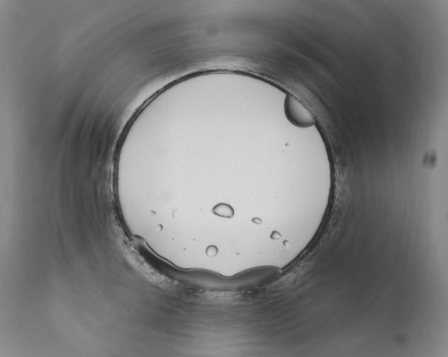 X0000110731044200907101424