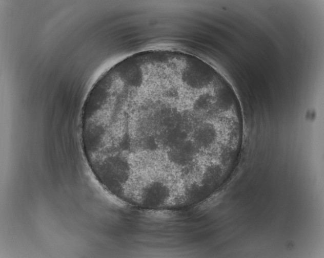 X0000110731045200907101424