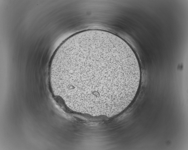 X0000110731048200907101424