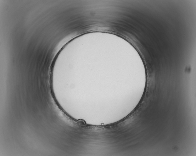 X0000110731050200907101424