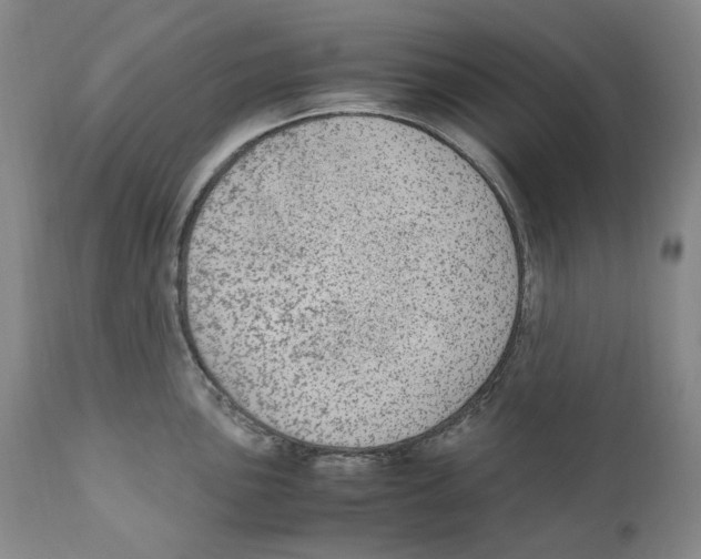 X0000110731051200907101424