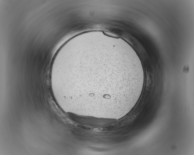 X0000110731052200907101424