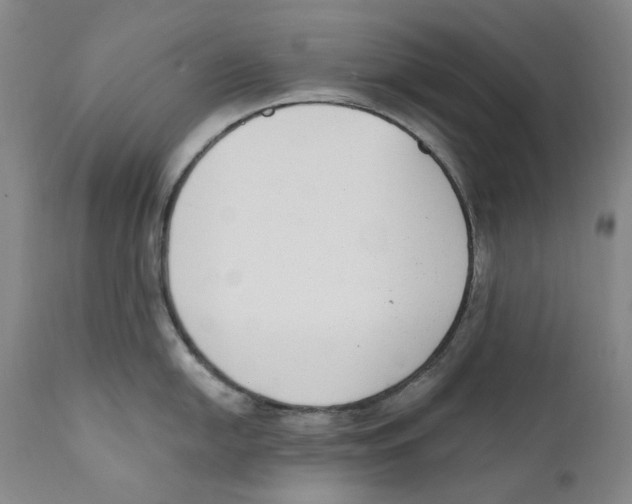 X0000110731054200907101424