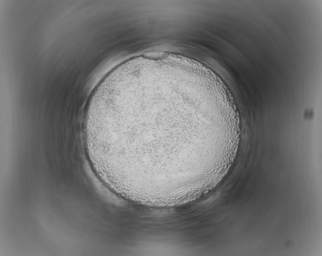 X0000110731055200907101424