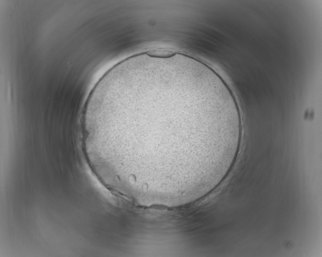 X0000110731056200907101424