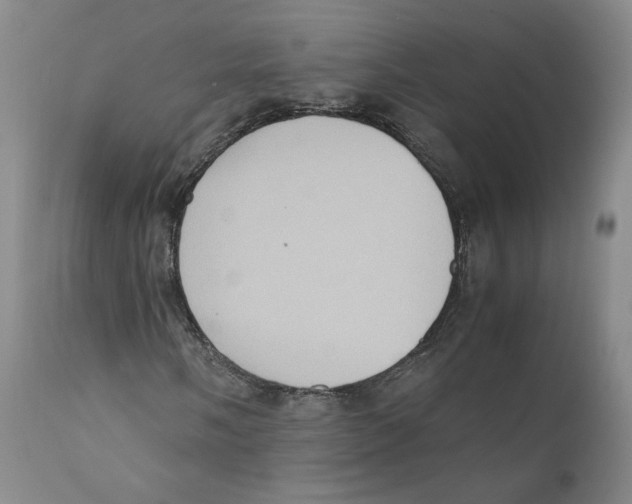 X0000110731058200907101423