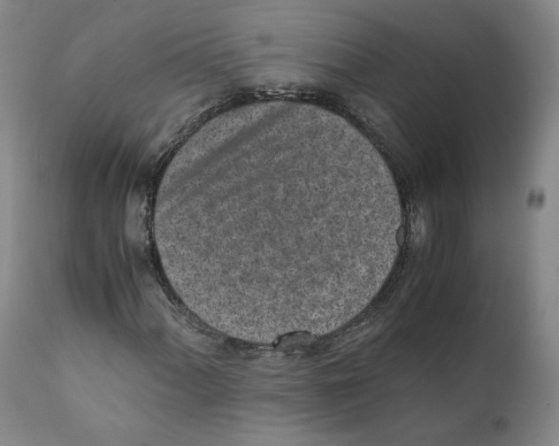 X0000110731060200907101423