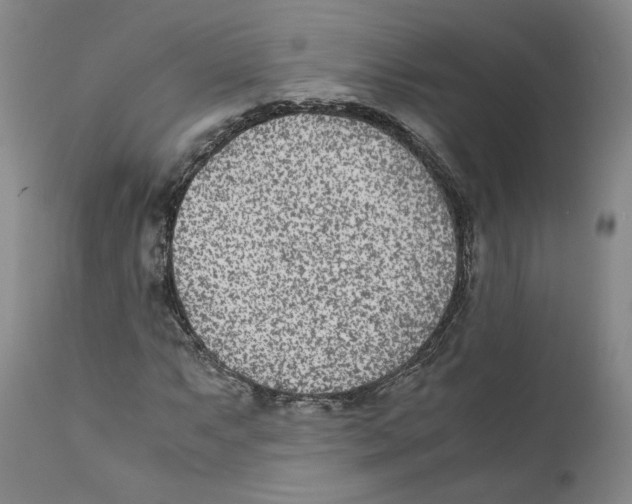 X0000110731063200907101423