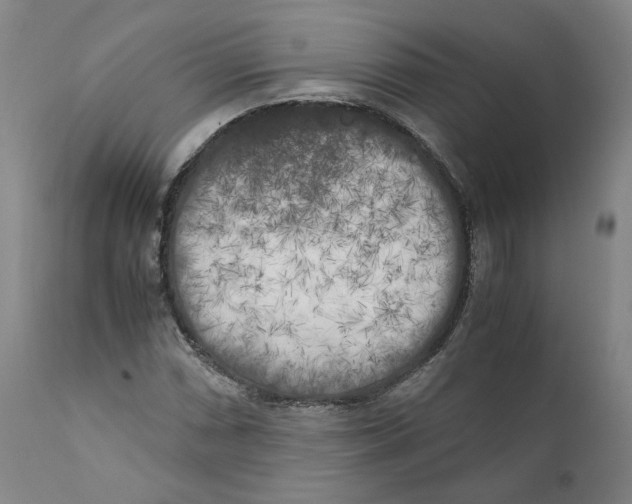 X0000110731066200907101423