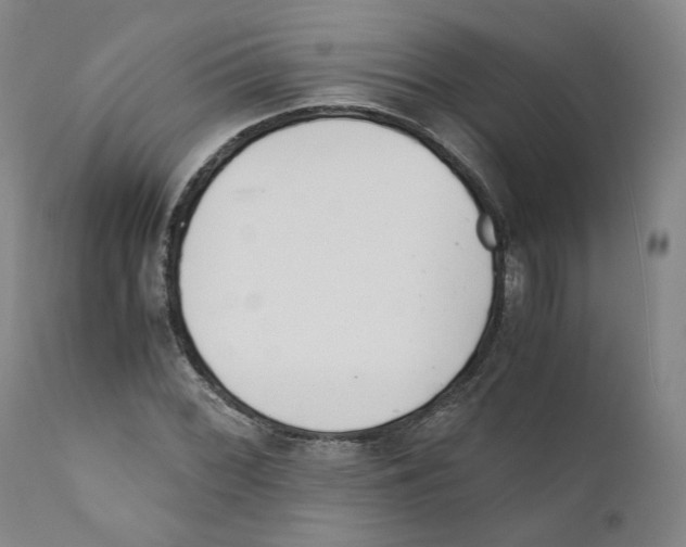 X0000110731068200907101423