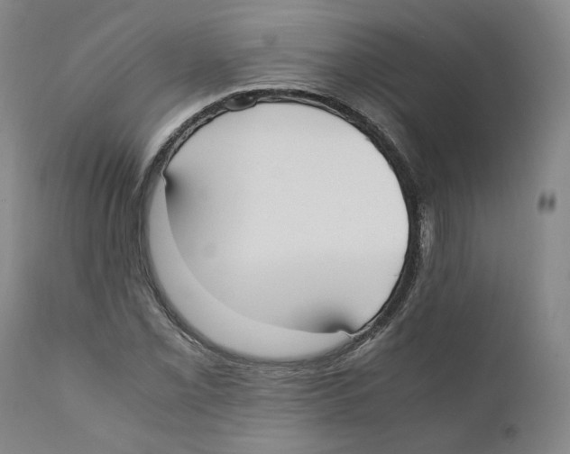 X0000110731069200907101423