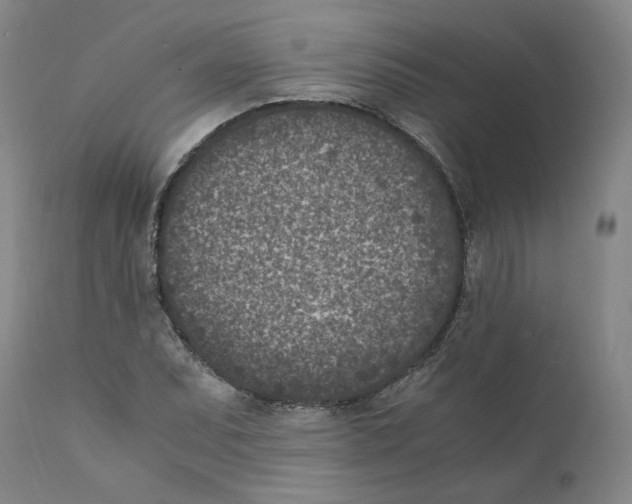 X0000110731071200907101423