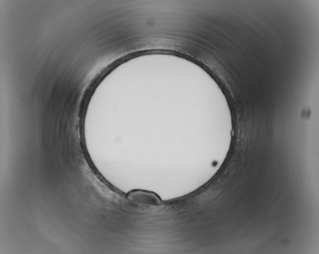 X0000110731072200907101423
